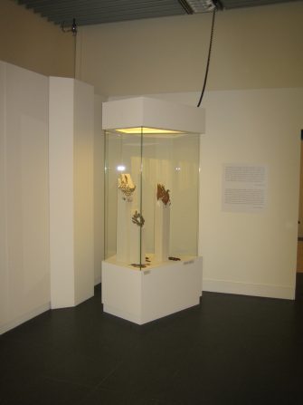 Periodic Exhibitions