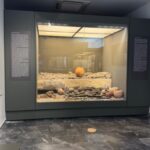 Μουσείο Αρχαιολογικού χώρου Ελεύθερνας – Ρέθυμνο