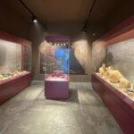 Αρχαιολογικό Μουσείο Τήλου