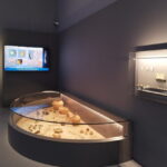 Αρχαιολογικό Μουσείο Μεσαράς