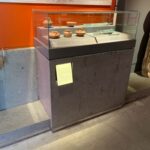 Archaeological Museum of Chalkida “Arethousa”