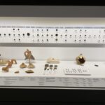 Μουσείο Ανασκαφής – Μουσείο Ακρόπολης